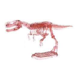 Wykopaliska, świecący szkielet dinozaura -