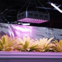 Lampa do uprawy wzrostu roślin Hillvert LED 600W biała