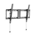 Gembird | Wall mount | Tilt | 37-80 "" | Maximum weight (capacity) 70 kg | Black