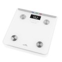 ETA Scales Laura ETA078190000 Body analyzer, Maximum weight (capacity) 180 kg, Accuracy 100 g, White