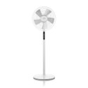 ETA Frio Fan ETA160790000 Stand Fan, Number of speeds 3, 55 W, Oscillation, Diameter 43 cm, White