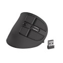 Natec | Vertical Mouse | Euphonie | Wireless | Bluetooth/USB Nano Receiver | Black