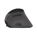 Natec | Vertical Mouse | Euphonie | Wireless | Bluetooth/USB Nano Receiver | Black