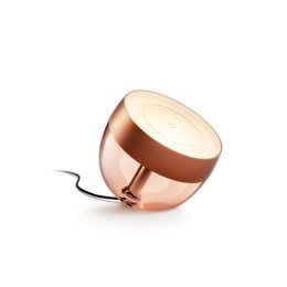 Philips Hue Iris Portable lamp, Copper special edition Philips Hue | Hue Iris Portable Lamp, Copper Special Edition | Ah | h | C