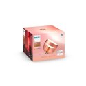 Philips Hue Iris Portable lamp, Copper special edition Philips Hue | Hue Iris Portable Lamp, Copper Special Edition | Ah | h | C