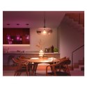 Philips Hue WCA 13,5W A67 E27 Philips Hue | Hue WCA 13,5W A67 E27 | E27 | 13,5 W | RGBW 2000-6500K | Bluetooth i Zigbee