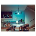 Philips Hue WCA 13,5W A67 E27 Philips Hue | Hue WCA 13,5W A67 E27 | E27 | 13,5 W | RGBW 2000-6500K | Bluetooth i Zigbee