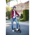 Ninebot by Segway Kickscooter E2 PRO E, czarny | Segway