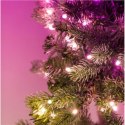 Twinkly Pre-lit Garland Smart LED 50 RGBW (Multicolor + White) Twinkly | Pre-lit Garland Smart LED 50, 2.5 m | RGBW - 16M+ color