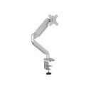 Fellowes arm for 1 monitor -  Platinum silver