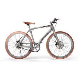 Sharp Silver | 250 W | Hybrid E-Bike | 24 month(s) | 21 