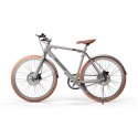 Sharp Silver | 250 W | Hybrid E-Bike | 24 month(s) | 21 "