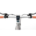 Sharp Silver | 250 W | Hybrid E-Bike | 24 month(s) | 21 "