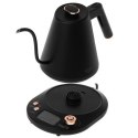 Adler Kettle | AD 1349 | Electric | 1100 W | 1 L | Stainless steel | 360° rotational base | Black/Gold