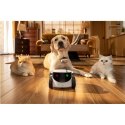 Family Robot IP Camera | ROLA PetPal | 5 MP | Micro SD, Max. 256GB