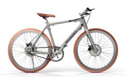 Sharp Hybrid E-Bike | 250 W | 21 