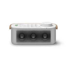 Sony | TV Speaker | SRS-LSR200 | W | Waterproof | White | Wireless connection